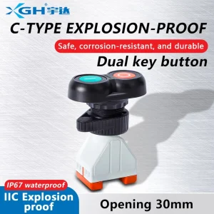 Double Key Momentary Return Spring IP67 Explosion Proof LED 6A Screw Terminal Push Button Switch 2NO 1NO1NC 250V Metal Plastic
