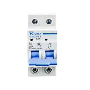 Dual Pole 50~63A Miniature Circuit Breaker AC400V Short Circuit Protection Household MCB