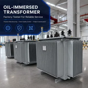 Durable Medium Voltage 0.4kv 60hz 200kva 250kva Oil Filled Power Transformer Distribution Transformer for Industrial Grid