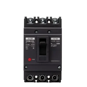 EAST MCCB 1P 2P 3P 4P Thermomagnetic Molded Case Circuit Breaker YSTM6 125C 50kA 690V 400V Plastic