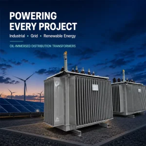 Economical Practical 60Hz 400V 450kVA 1600kVA Industrial Oil Filled Electrical Transformer Distribution Transformer