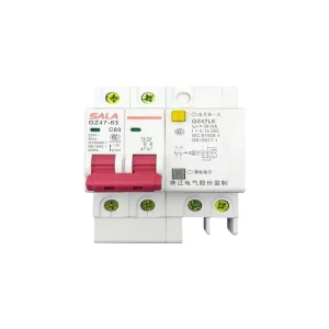 Energy-saving MCB 2-Pole 63A Rated Current Circuit Breaker with 4KA/6KA Breaking Capacity 220V
