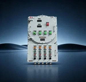 Ex d IIC Explosion Proof Control Box ATEX Certified Flameproof Electrical Box for Petrochemical Hazardous Area
