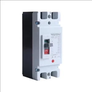 Factory AC 400V 10a 63a 100amp 125a 150a 250a 400a 2 Poles 2P Moulded Case Circuit Breaker MCCB Moldeada Disyuntor