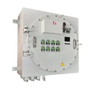 Factory Made IP66 WF1 2 Emergency Lighting Distribution Panel High Safety Power Equipment for Flammable Explosive Environments