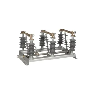 Fw1 Iacm Disconnector 50A 36Kv With Socket High Voltage Isolation Switch