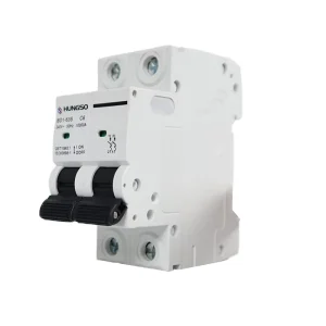HUNGSO BD1 63S 2P Miniature Circuit Breaker 10kA MCB C6 C32 on Sale