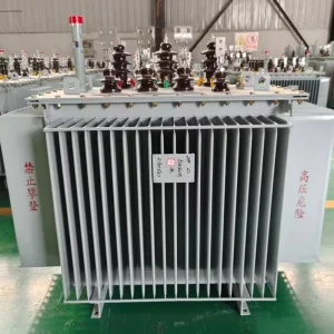 High Insulation Energy Saving Three Phase 10kV 380V Oil Immersed Dual Winding Coil Low Temperature Rise Distribution Transformer