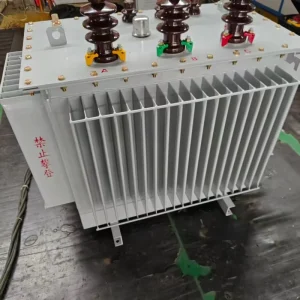 High Resistant Durable Anti Curing Three Phase Oil Immersed Distribution Transformer High Insulation Dual Winding Coil