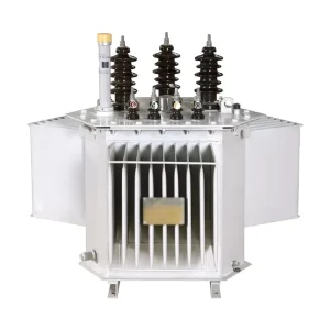 High Voltage Oil Immersed Transformer 11kV 22kV 33kV 500kVA 1000kVA 1600kVA Distribution Transformer for Substations