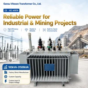 IEC 60076 300kVA S11 Three Phase Oil Immersed Distribution Transformer 6kV 10.5kV to 400V for Industrial and Mining Projects