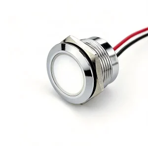 IP65 Waterproof Metal Indicator Light 19mm Flat Head LED Panel 12V Industrial Control LED Pilot Light