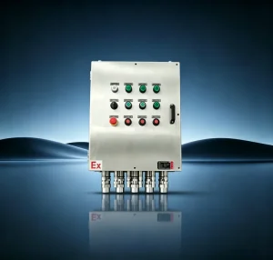 Indoor Stainless Steel EX d Db E Eb Explosion Proof Control Box for Chemical Industry