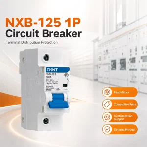 Industrial NXB 125 D Type 63A 80A 100A 125A Circuit Breaker with Overload and Short Circuit Protection for Pump Systems