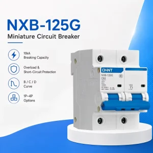 Industrial NXB 125G D Type 2P 63A 80A 100A 125A Miniature Circuit Breaker with 10kA Icn for Machinery Protection