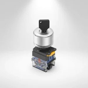 LA38M Y 30MM Key Lock Selector Switch Position Customize 10A 250VAC Plastic IP40 for Instrument Operation Screw Terminal
