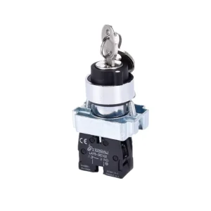 LAY5-BG21 Metal Momentary 2 Position on off Push Button Switch Elevator with Key Switches
