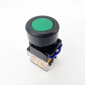 LAY50 30B 11T Hole Opening Size Diameter 30mm Flat Maintained Latch Self-lock Push Button