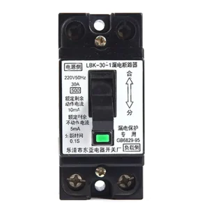 LBK 30 1 Residual Current Circuit Breaker Electrical Series Earth Leakage DPN Rccb Mini Type MCB