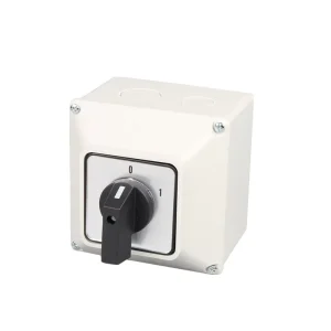 LW126 63 Rotary Changeover Cam Switch 3 Position 3 Phase with Master Switch Exterior Box Metal CE Certified