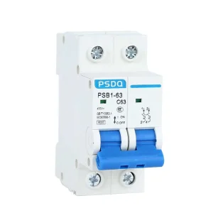 MCB 2P DC BCD Curve C CE Certified 6kA Breaking Capacity Li Protection for Industrial Household Use Miniature Circuit Breaker