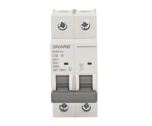 MCB Mini Circuit Breaker 2P 16A-63A 4.5kA Breaking Capacity 230V/400V for Indoor Residential Use