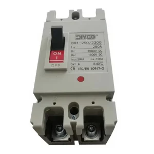 MCCB DC Circuit Breaker 2P Plastic Industrial Household Voltage 40A 63A 80A 100A 125A 160A 200A 250A PV Solar Protector Isolator