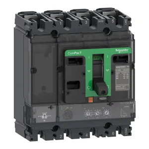 MCCB NSX250F 36kA AC 3P 4P 40A 50A 63A 80A 100A 125A 160A 200A 250A 400A 500A 630A 800A Molded Case Circuit Breaker