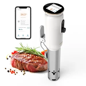 Manufacturer Sous Vide Slow Cooking Machine With TFT Screen ISV-101W Stainless Steel Slow Cooker Slow Steak Cooker