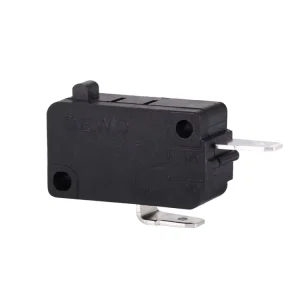 Micro Switch Supplier 2 Pins 16A 250VAC 40T125 PBT Material Micro Switch for Dishwasher