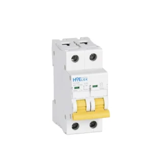 Miniature Circuit Breaker Single Phase 2 Pole MCB 6kA Breaking Capacity 50/60Hz Din Rail Mount for Household Use CE