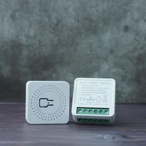 Module 240v Home 16A Wireless Light Tuya Smart Wifi Mini Remote Control Switch