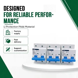 NXB 125 1P DC 1000V Circuit Breaker MCB 100A 80A D Curve PA66 Material 10ka Breaking Capacity Li Protection Rail Mounting