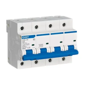 NXB 125 4P 100A Miniature Circuit Breaker MCB Breaking Capacity Main Switch DIN Rail Mounted