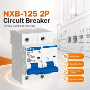 NXB-125 C Type Molded Case Circuit Breaker with CE CCC Approval for Terminal Distribution