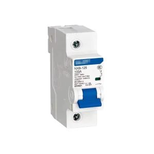 Original New NXB-125 1P C100 230VAC Household Air Circuit Breakers MCB Circuit Breaker Miniature Circuit Breakers