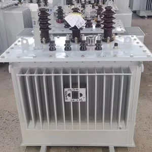 Outdoor Waterproof Three Phase Oil Immersed Transformer 2500kVA Pole Mounted Distribution