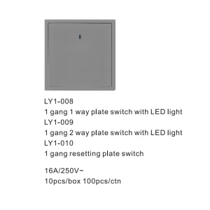 PC Panel Big Terminal Blocks Germany France Wall 1 2 Gang 1 2 Way Resetting Plate Switch With LED Light