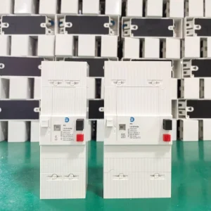 PG RCCB Earth Leakage Circuit Breaker Rcbo Circuit Breaker 2 Pole 4 Pole 6kA 8kA Low Voltage Products