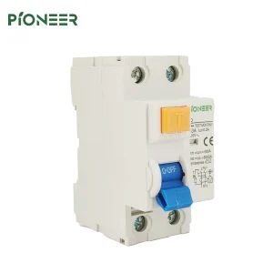 RCCB Differential Switches 2P Magnetic RCD Chint Original Residual Current Operated Circuit Breaker PA66 Li 230V 50 60Hz