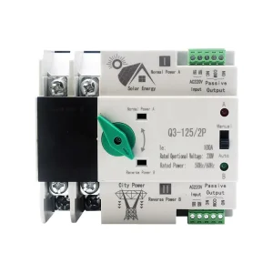 RUIPEIN Din Rail ATS 2P 63A 100A PC 6kA Breaking Capacity Single Phase Dual Power Automatic Transfer Switch PV Inverter CE