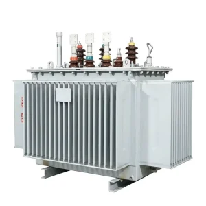 S11 M 850kVA Oil Immersed Distribution Transformer 10kV 0.4kV 3 Phase Step Down 100% Copper Winding Low Loss 50Hz