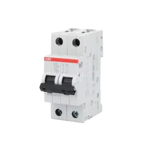 S200 Miniature Circuit Breaker S202 C6 C-type 6kA Air Switch 2P 63A 230V 400V Household DIN Rail Mounting MCB