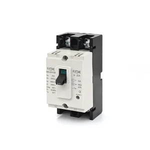 SM30 30S 3300 Breakers Circuit Moulded Case 3P 2P Mccb 30A Three Phase Circuit Breaker Box 10KA