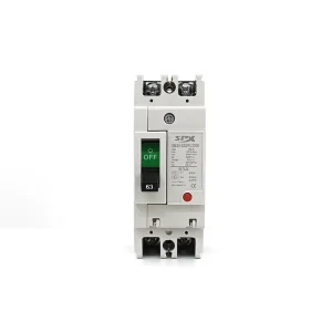 SM30 63S/2300 S Type 2P Molded Case AC Circuit Breaker MCCB 2 Pole 63A