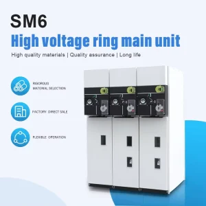 SM6 Ring Main Unit (RMU) Medium Voltage High Voltage Switchgear Cabinet 24KV 630A IM Arrival and QM Departure Panel