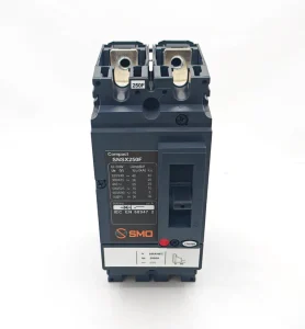 SNSX Compact 2P250A Moulded Case Circuit Breaker 25KA Breaking Capacity 8kV Impulse Withstand AC690V 50/60Hz