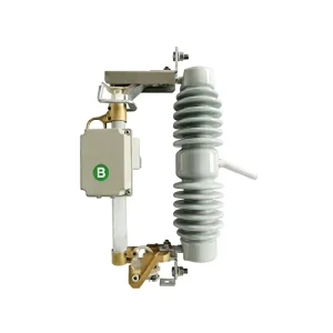 Shubang Integrated Intelligent Low Maintenance Outdoor 24 27kV Fuse Cutout Disconnect Switch 10 12kA Breaking Capacity FC 24 27