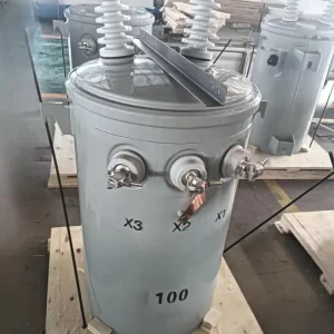 Single Phase 25kVA Oil Immersed Power Transformer 240V 11KV Output 60Hz 220V 440V Variants Copper Aluminum Material 220V Input