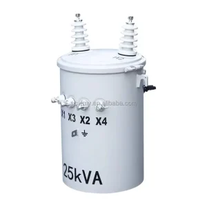 Single Phase Pole Mounted Distribution Transformer OEM ODM for Philippines Power Grid